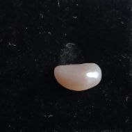 Fresh water Pearl 1.52 carats