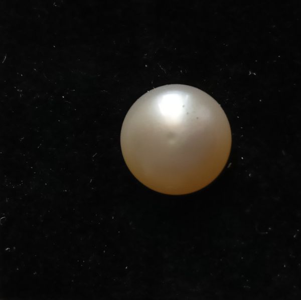 Fresh water Pearl 3.74 carats 