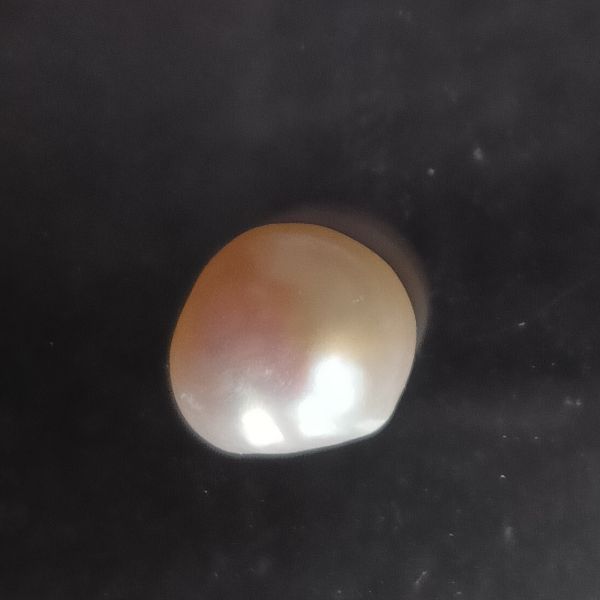 Fresh water Pearl 5.63 carats