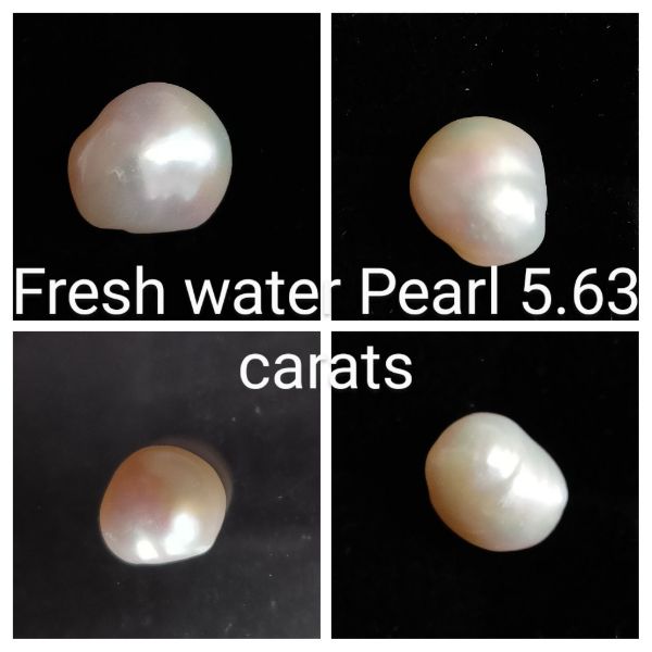 Fresh water Pearl 5.63 carats
