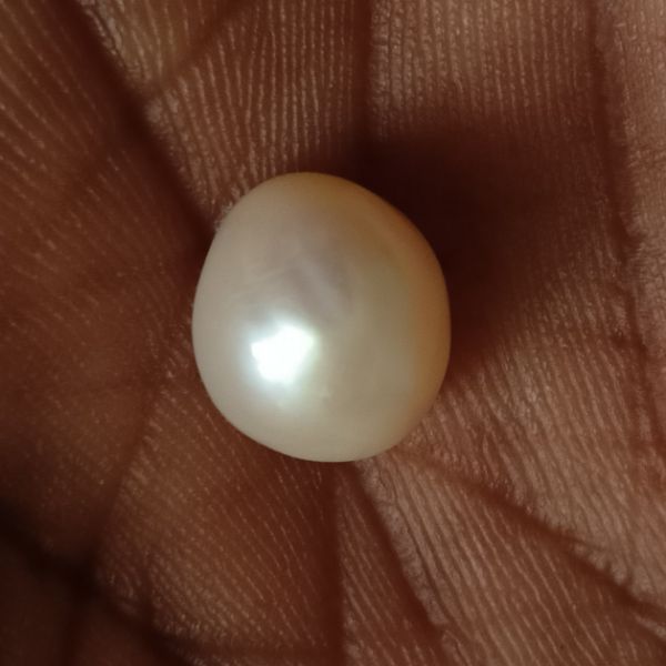 Fresh water Pearl 5.86 carats 