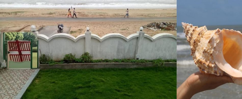 The Conch Shell in Hinduism: Symbolism, Significance, and Spiritual ...