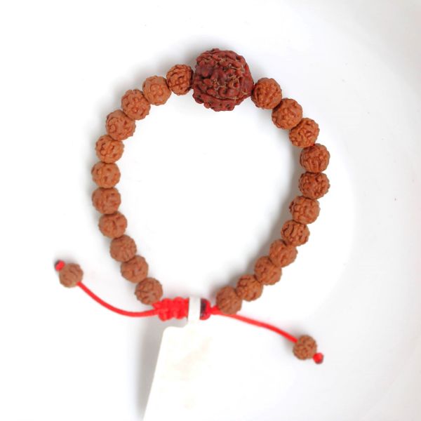 4 mukhi rudraksha bracelet