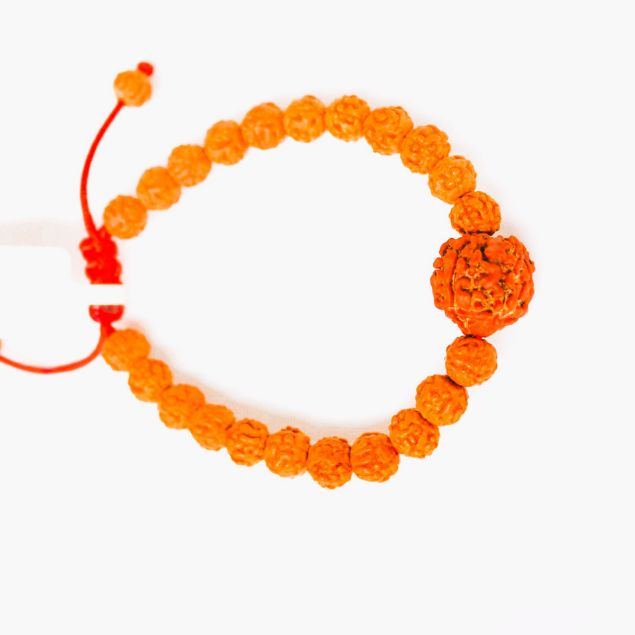 3 mukhi Rudraksha bracelet