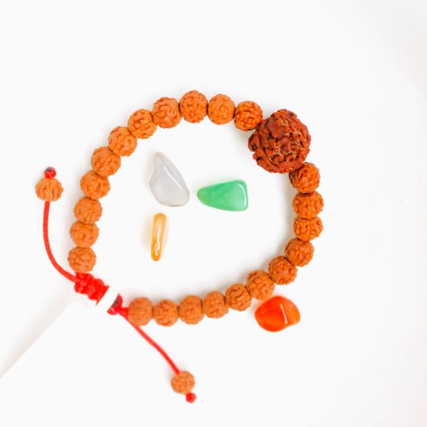 3 mukhi Rudraksha bracelet