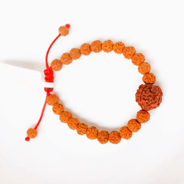 3 mukhi Rudraksha bracelet