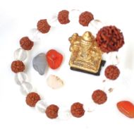 Rudraksha spatik bracelet