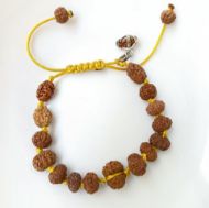 Picture of Sidha bracelet Indonesian ( 1-14 mukhi rudraksha)