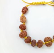 Picture of Sidha bracelet Indonesian ( 1-14 mukhi rudraksha)