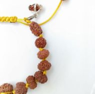 Picture of Sidha bracelet Indonesian ( 1-14 mukhi rudraksha)