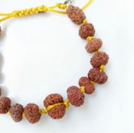 Picture of Sidha bracelet Indonesian ( 1-14 mukhi rudraksha)