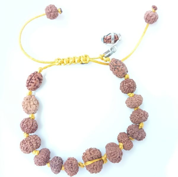 Picture of Sidha bracelet Indonesian ( 1-14 mukhi rudraksha)