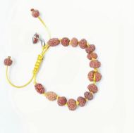 Picture of Sidha bracelet Indonesian ( 1-14 mukhi rudraksha)