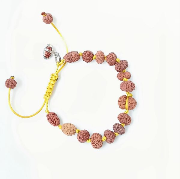 Picture of Sidha bracelet Indonesian ( 1-14 mukhi rudraksha)