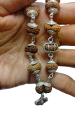 Indrakshi Mala (Indra Mala) - Indonesian Rudraksha, Pure Silver Capping, 28-30 Inch