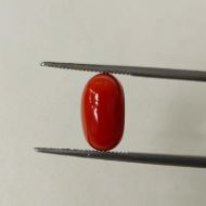 Picture of Red Coral Italian 4.72 carats