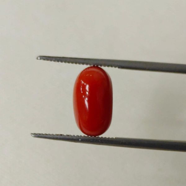 Picture of Red Coral Italian 4.72 carats
