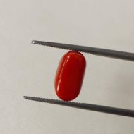 Picture of Red Coral Italian 4.72 carats
