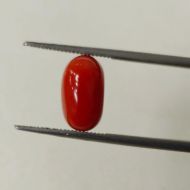 Picture of Red Coral Italian 4.72 carats