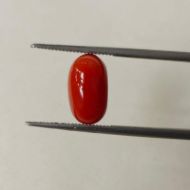 Picture of Red Coral Italian 4.72 carats