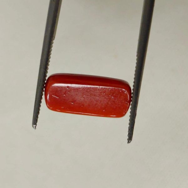 Picture of Red Coral Italian 5.67 carats