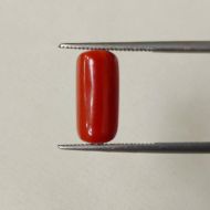 Picture of Red Coral Italian 5.67 carats