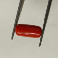 Picture of Red Coral Italian 5.67 carats