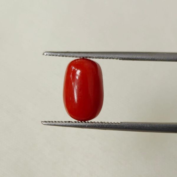 Picture of Red Coral Italian 4.85 carats