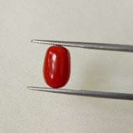 Picture of Red Coral Italian 4.85 carats