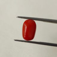 Picture of Red Coral Italian 4.85 carats