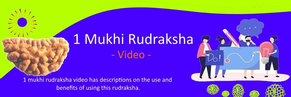 1 mukhi rudraksha video