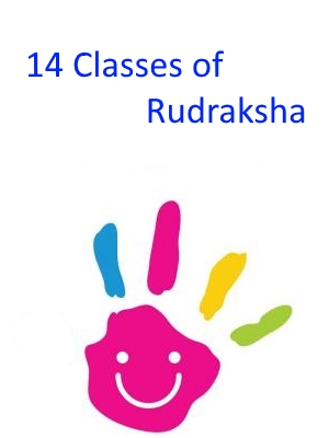 Classification of rudraksha based on color