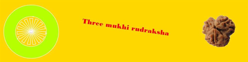 about three mukhi rudraksha