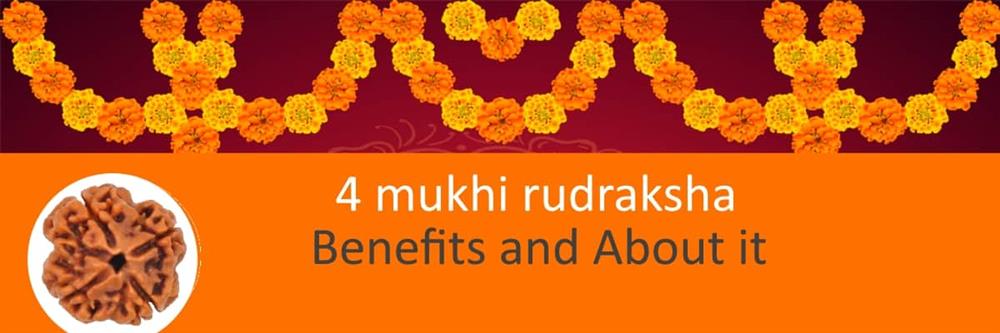 About 4 mukhi rudraksha