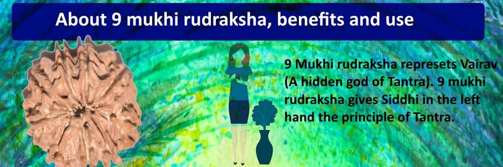 about 9 mukhi rudraksha