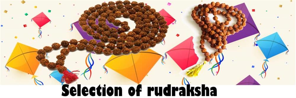 choice of rudraksha