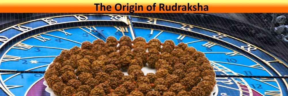 The origin of rudraksha