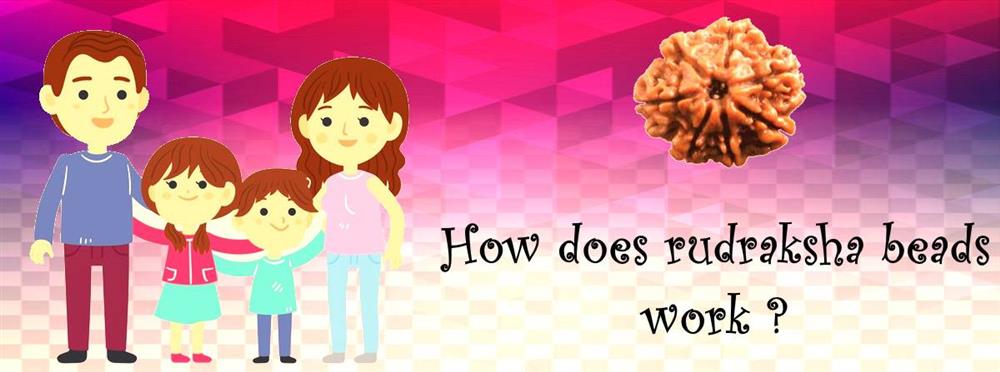 how do rudraksha works