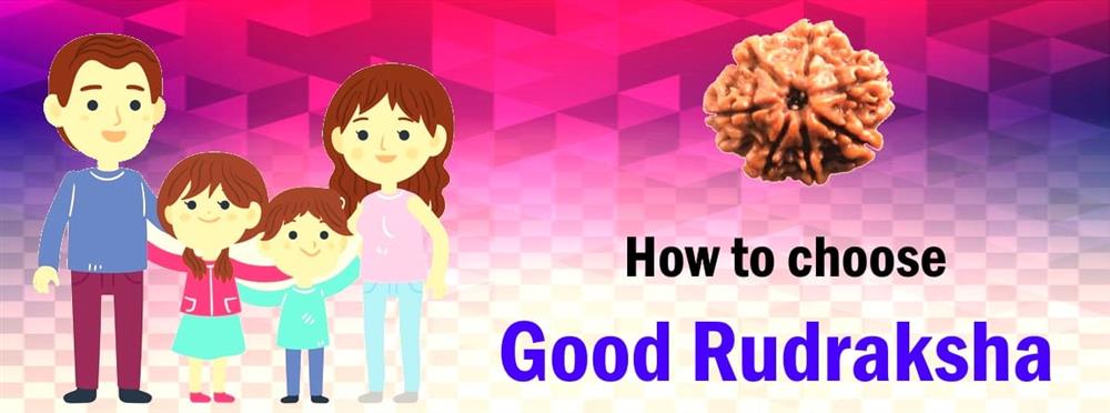 how to choose good rudraksha