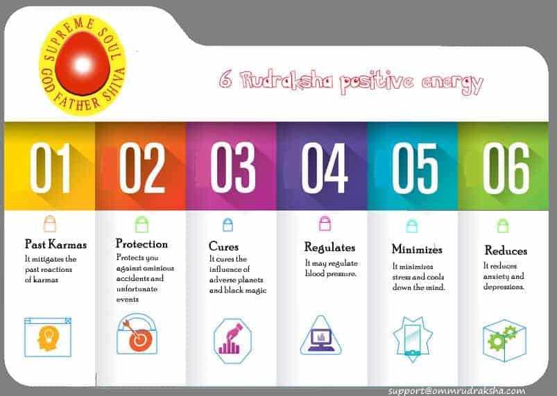 six rudraksha benefits infographic