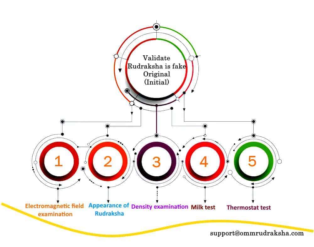 5 golden rules to validate if rudraksha is fake or original - infographic