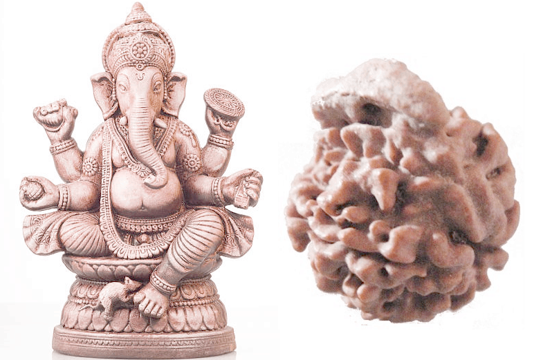 Ganesha rudraksha