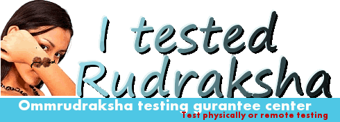 rudraksha testing center