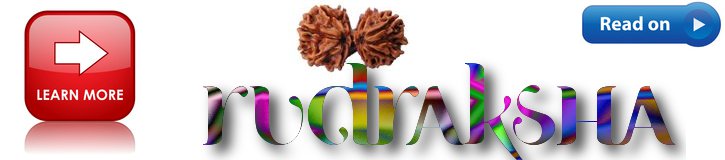 more about rudraksha