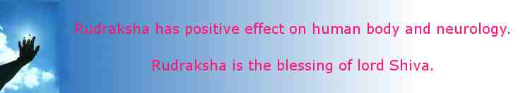 Rudaksha has beneficial effect on human