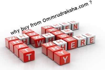 Why buy rudraksha from ommrudraksha site