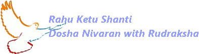 rahu ketu dosha nivaran with rudraksha