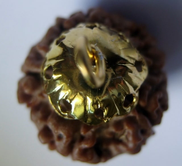 Rudraksha bead circular top bottom capping