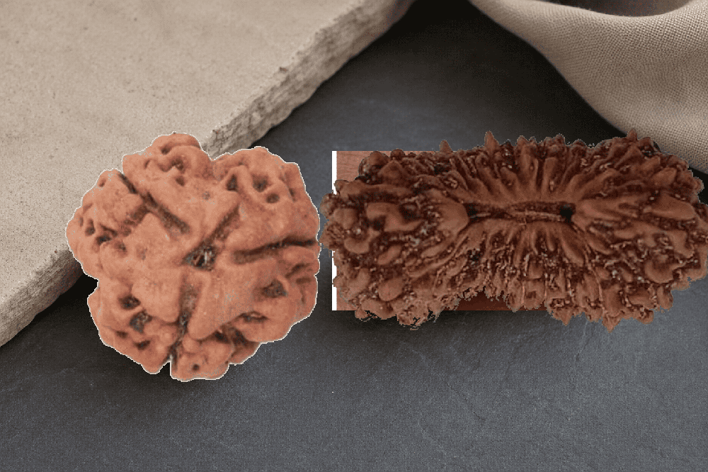 Rudraksha bead details used in a product-comparison composition