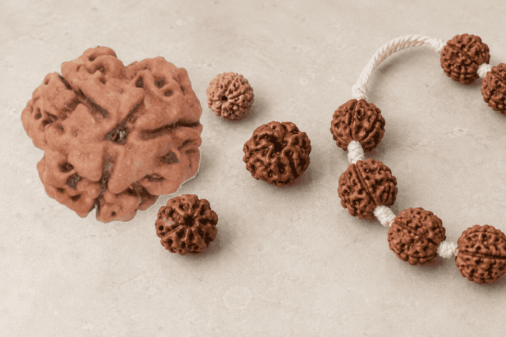 Rudraksha bead detail and mala-size comparison composition